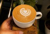 Saplings Cafe – Saplings Coffee Roasters